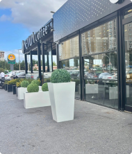 Meridyen Premium Yapay Ağaç – Fiberglass Karekonik Saksı Dekoratif Bitki 130 cm - Görsel 2
