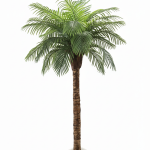 Nirvana Premium Palmiye Yapay Ağaç – Fiberglass Saksı Dekoratif Bitki 400 cm