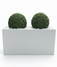 Meridyen Premium Yapay Ağaç – Fiberglass Dikdörtgen Saksı Dekoratif Bitki 80 cm