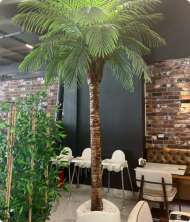 Nirvana Premium Palmiye Yapay Ağaç – Fiberglass Saksı Dekoratif Bitki 400 cm - Görsel 2