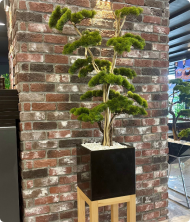 Mavera Premium Mermer Saksılı Yapay Ağaç – Masif Standlı Dekoratif Bitki 200 cm - Görsel 2