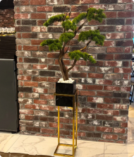 Majeste Premium Mermer Saksılı Yapay Ağaç – Bonsai Dekoratif Bitki 170 cm - Görsel 2