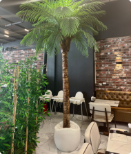Nirvana Premium Palmiye Yapay Ağaç – Fiberglass Saksı Dekoratif Bitki 400 cm - Görsel 3