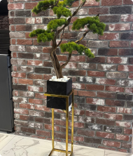 Majeste Premium Mermer Saksılı Yapay Ağaç – Bonsai Dekoratif Bitki 170 cm - Görsel 4
