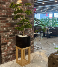 Mavera Premium Mermer Saksılı Yapay Ağaç – Masif Standlı Dekoratif Bitki 200 cm - Görsel 3