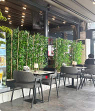 Nefes Premium Yapay Bambu Ağaç – Ahşap Saksı Dekoratif Bitki 160 cm - Görsel 4