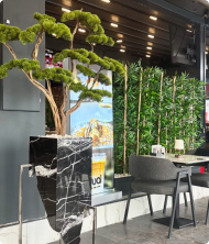 Burjuva Premium Mermer Saksılı Yapay Ağaç – Bonsai Dekoratif Bitki 180 cm - Görsel 3