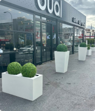 Meridyen Premium Yapay Ağaç – Fiberglass Dikdörtgen Saksı Dekoratif Bitki 80 cm - Görsel 3